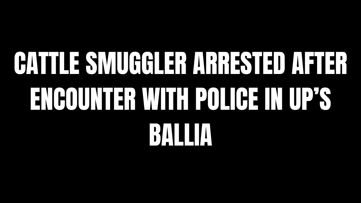 Cattle Smuggler Arrested After Encounter With Police in UP’s Ballia