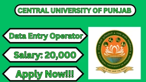 Central University of Punjab Data Entry Operator Recruitment 2026 – Apply Online