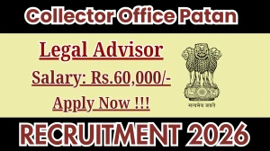 Collector Office Patan Legal Advisor Recruitment 2026 - Apply Offline