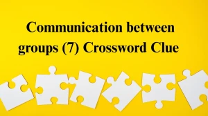 Communication between groups Crossword Clue Irish Daily Mail Quick 7 letters Answer