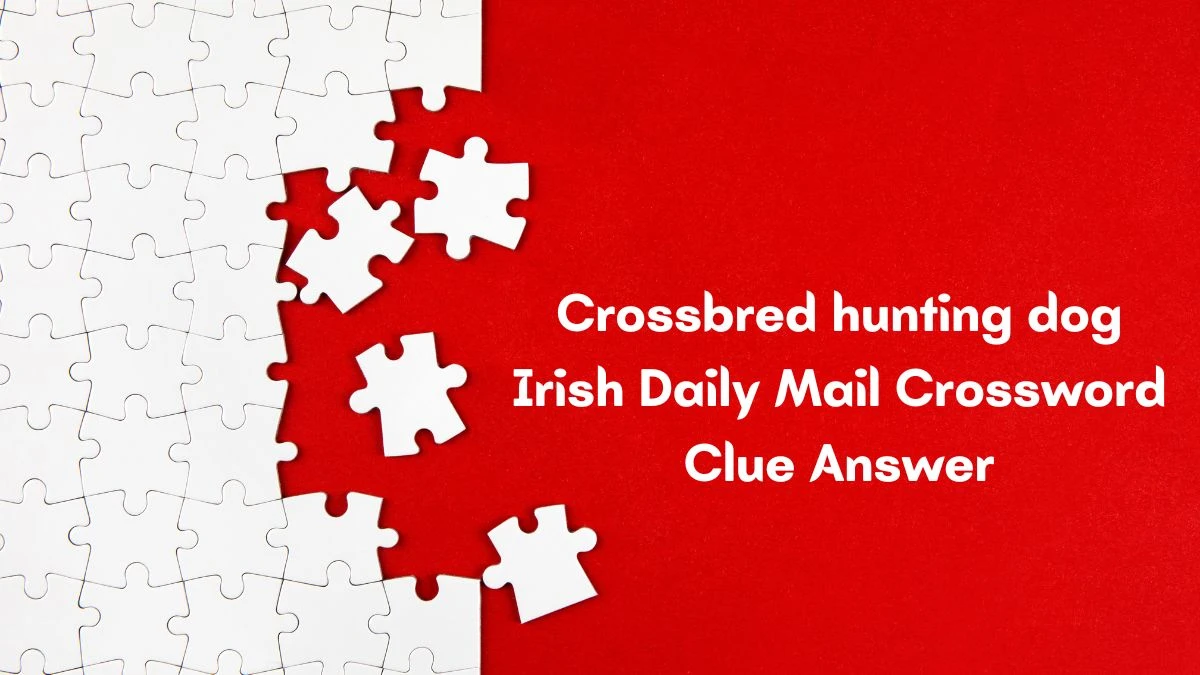 Crossbred hunting dog (7) Irish Daily Mail Crossword Clue Answer