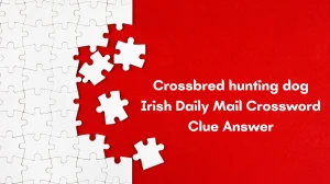 Crossbred hunting dog (7) Irish Daily Mail Crossword Clue Answer