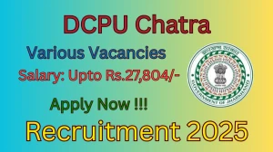 DCPU Chatra Recruitment 2025 - Apply Offline for 04 Protection Officer, Counsellor and More Posts