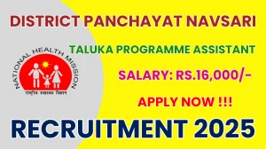 District Panchayat Navsari Taluka Programme Assistant Recruitment 2025 – Apply Online