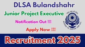 DLSA Bulandshahr Paralegal Volunteers Recruitment 2025 - Apply Offline for 20 Posts