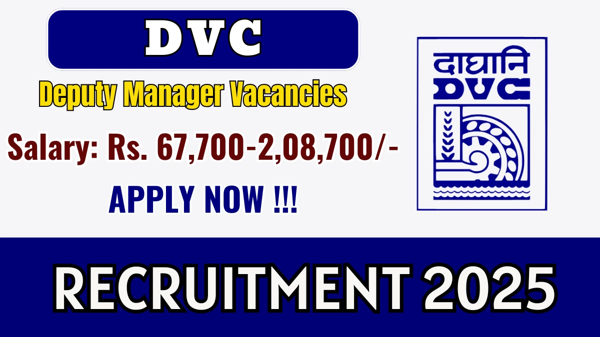 DVC Deputy Manager Recruitment 2025 - Apply Online for 09 Posts