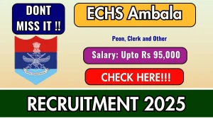ECHS Ambala Recruitment 2025 - Apply Offline for 63 Peon, Clerk and Other Posts