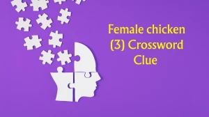 Female chicken (3) Crossword Clue Irish Daily Mail Quick 3 letters Answer