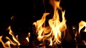 Fire Engulfs South Kolkata Market, 40 Shops Gutted