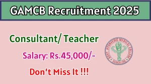 GAMCB Recruitment 2025 - Apply Offline for 08 Consultant/ Teacher Posts