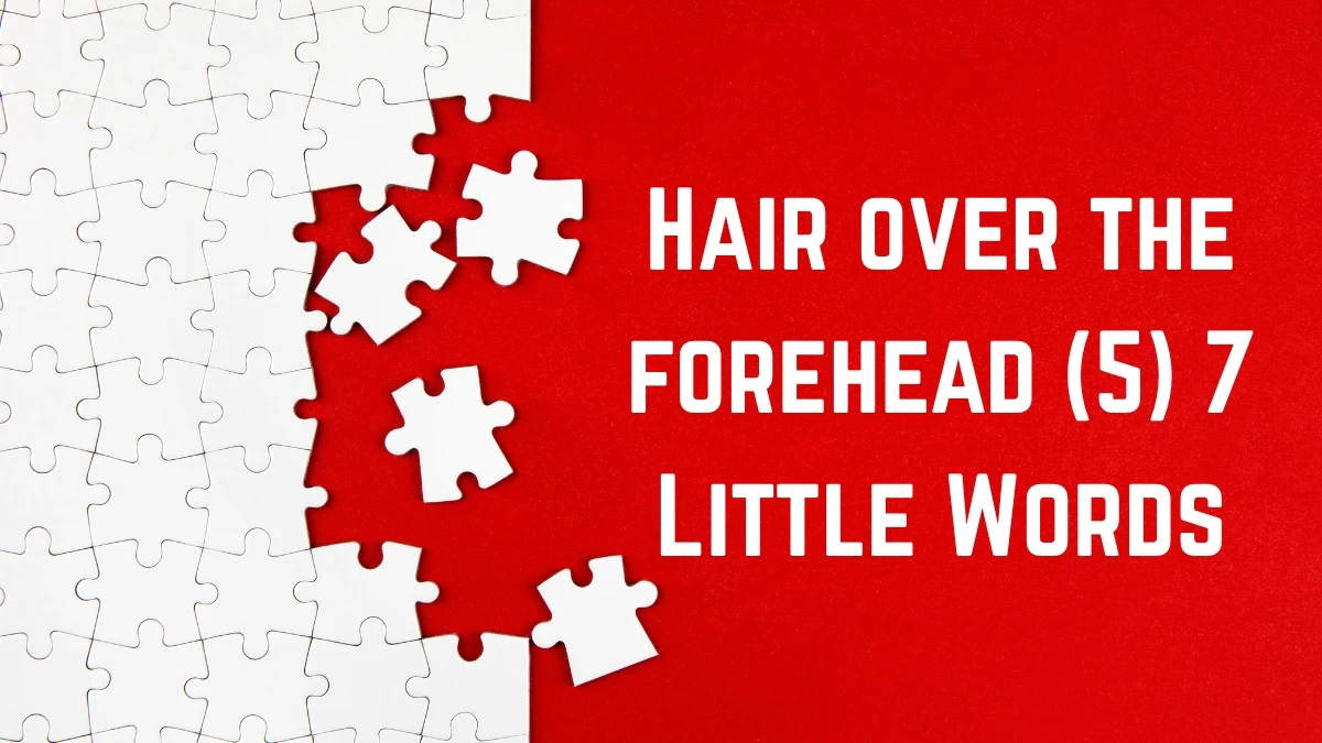 Hair over the forehead 7 Little Words 5 letters Answer