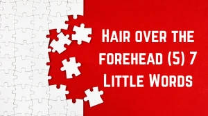 Hair over the forehead 7 Little Words 5 letters Answer