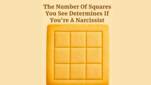 How Many Squares Can You See? It Might Reveal Your Narcissism!