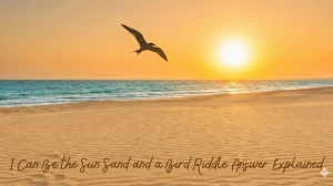 I Can Be the Sun Sand and a Bird Riddle Answer Explained