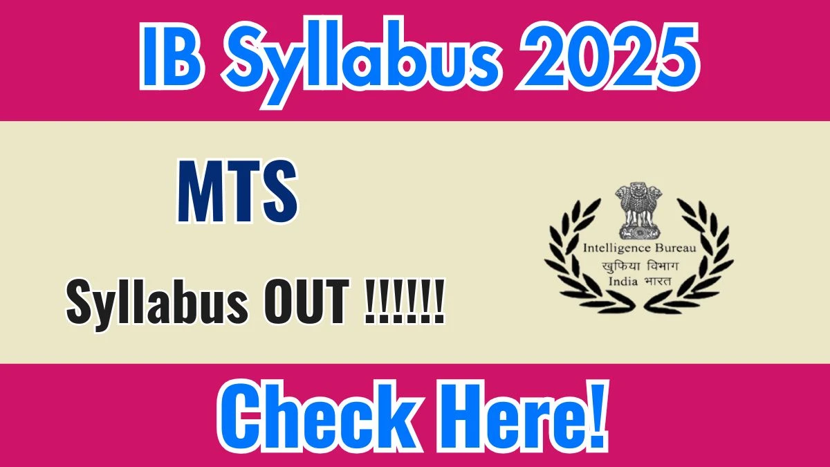IB MTS Syllabus 2025 - Download PDF & Exam Pattern