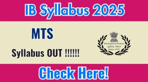 IB MTS Syllabus 2025 - Download PDF & Exam Pattern IB MTS Syllabus 2025 - Download PDF & Exam Pattern