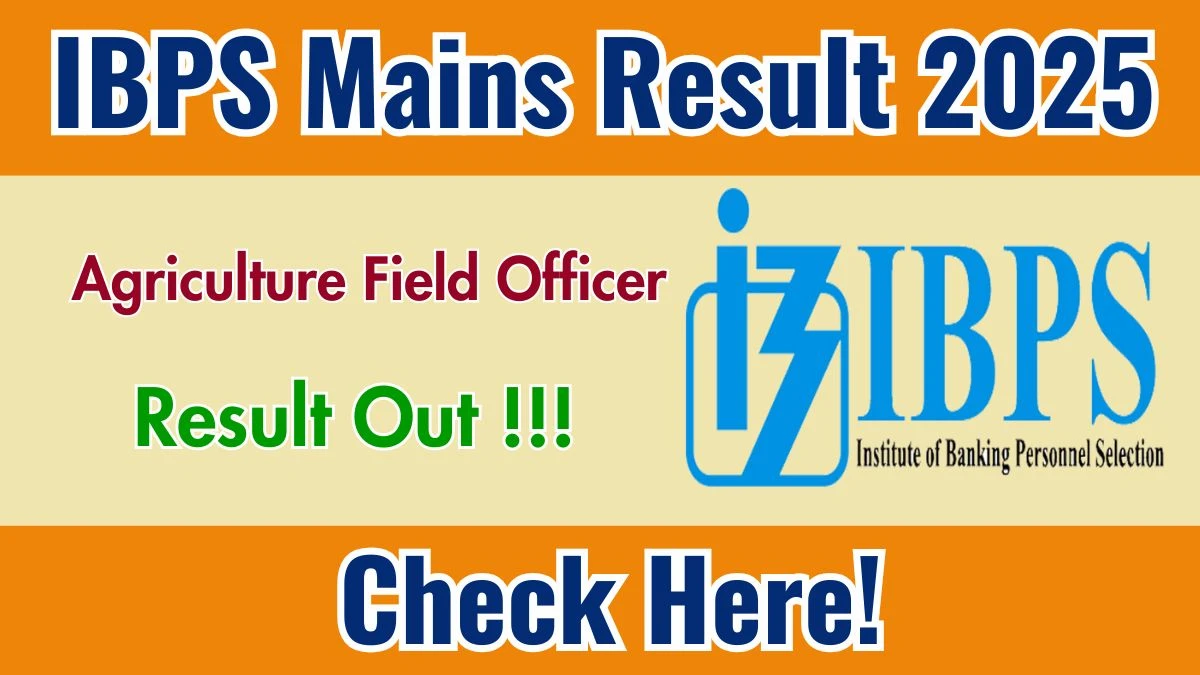 IBPS AFO Mains Result 2025 OUT (Direct Link) - Download Scorecard @ibps.in