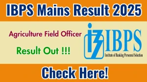 IBPS AFO Mains Result 2025 OUT (Direct Link) - Download Scorecard @ibps.in