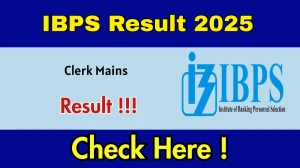 IBPS Clerk Mains Result 2025 (Direct Link) - Download Scorecard @ ibps.in