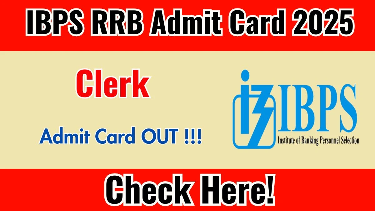 IBPS RRB Clerk Admit Card 2025 - Download Here