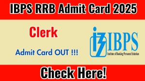 IBPS RRB Clerk Admit Card 2025 - Download Here IBPS RRB Clerk Admit Card 2025 - Download Here