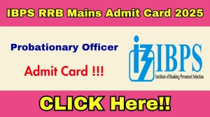IBPS RRB PO Mains Admit Card 2025 - Download Call Letter IBPS RRB PO Mains Admit Card 2025 - Download Call Letter
