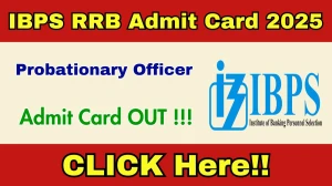 IBPS RRB PO Mains Admit Card 2025 Out - Download Here