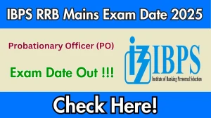 IBPS RRB PO Mains Exam Date 2025 Out – Check Schedule at ibps.in
