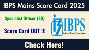 IBPS SO Mains Scorecard 2025 OUT at ibps.in - Download Result Card, Merit List PDF Here IBPS SO Mains Scorecard 2025 OUT at ibps.in - Download Result Card, Merit List PDF Here