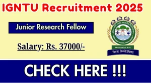 IGNTU Junior Research Fellow Recruitment 2025 - Apply Offline for 01 Posts IGNTU Junior Research Fellow Recruitment 2025 - Apply Offline for 01 Posts