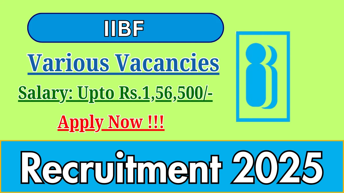 IIBF Recruitment 2025 - Apply Online for 08 Resident Engineer, Faculty Member and More Posts
