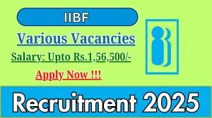 IIBF Recruitment 2025 - Apply Online for 08 Resident Engineer, Faculty Member and More Posts