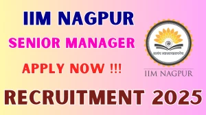 IIM Nagpur Senior Manager Recruitment 2025 - Apply Online