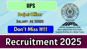 IIPS Project Officer Recruitment 2025 – Walk in for 02 Posts