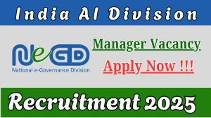 India AI Division Manager Recruitment 2025 – Apply Online