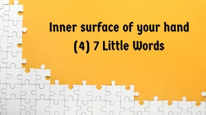 Inner surface of your hand 7 Little Words 4 letters Answer
