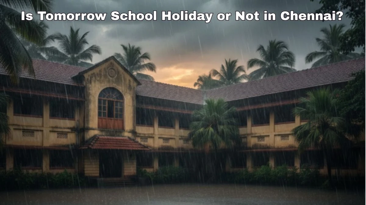 Is Tomorrow School Holiday or Not in Chennai? Will Schools Be Closed on 3 December 2025 Due to Rain?