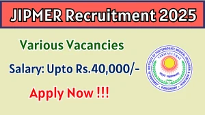 JIPMER Recruitment 2025 - Apply Offline for 03 DEO, Nursing Officer and More Posts
