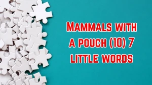 Mammals with a pouch 7 Little Words 10 letters Answer