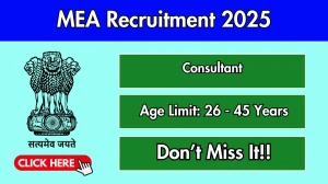 MEA Consultant Recruitment 2025 - Apply Online