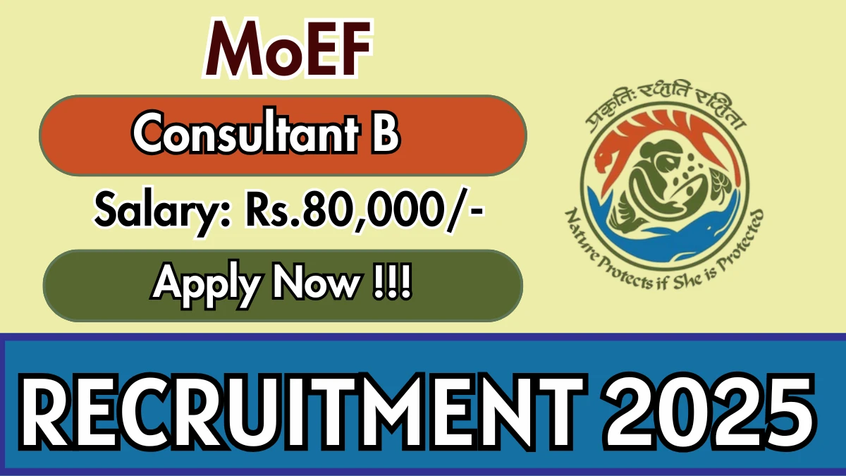 MoEF Consultant B Recruitment 2025 - Apply Offline
