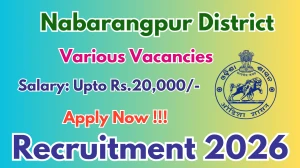 Nabarangpur District Recruitment 2026 - Apply Offline for 03 Revenue Inspector, Chairman and More Posts
