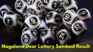Nagaland Dear Lottery Result Today 01/12/2025 1 PM : Check all Dear Rise Morning...