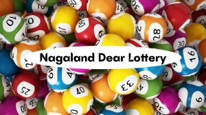 Nagaland Dear Lottery Result Today 02/12/2025 1 PM OUT: Check all Dear Shine Mor...