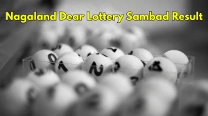 Nagaland State Dear Lottery Sambad Result Today 1PM (3 Dec 2025) OUT: Check all ...