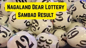 Nagaland Dear Lottery Result Today 10/12/2025 1 PM : Check all Dear Spark Morning Wednesday Winning Numbers Here