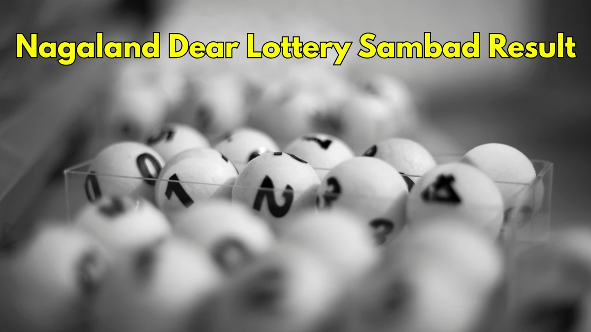 Nagaland Dear Lottery Result Today 11/12/2025 6 PM OUT: Check all Dear Supreme Day Thursday Winning Numbers Here