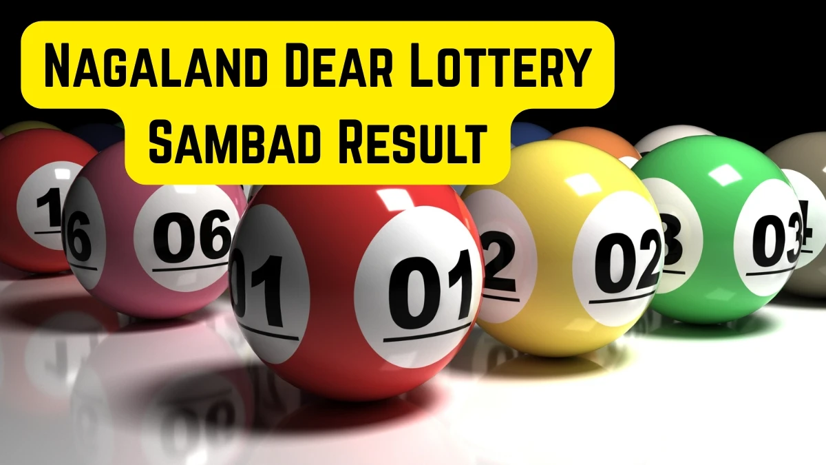 Nagaland Dear Lottery Result Today 13/12/2025 1 PM OUT: Check all Dear Vision Morning Saturday Winning Numbers Here