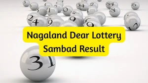 Nagaland Dear Lottery Result Today 17/12/2025 1 PM : Check all Dear Spark Morning Wednesday Winning Numbers Here