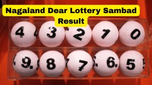 Nagaland Dear Lottery Result Today 21/12/2025 1 PM : Check all Dear Wish Morning Sunday Winning Numbers Here